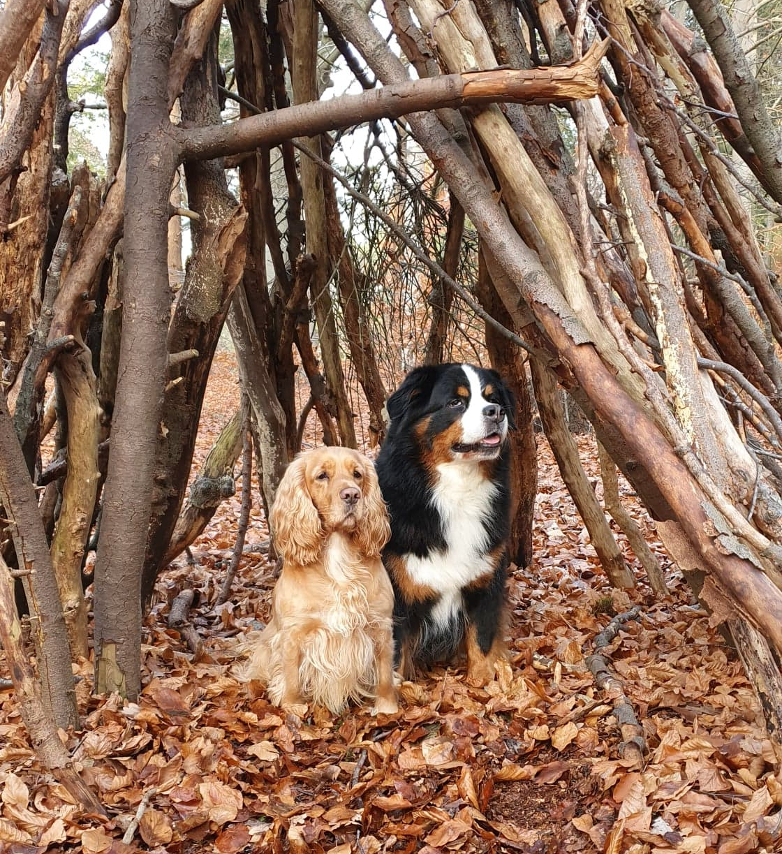 127504324_3768752389848550_8585596209865849721_n (1)